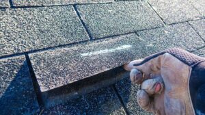 A person on a ladder cleaning leaves and debris from a residential roof with a soft brush.